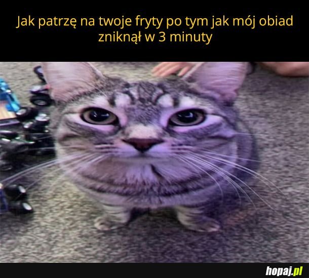 Fryty nęcą