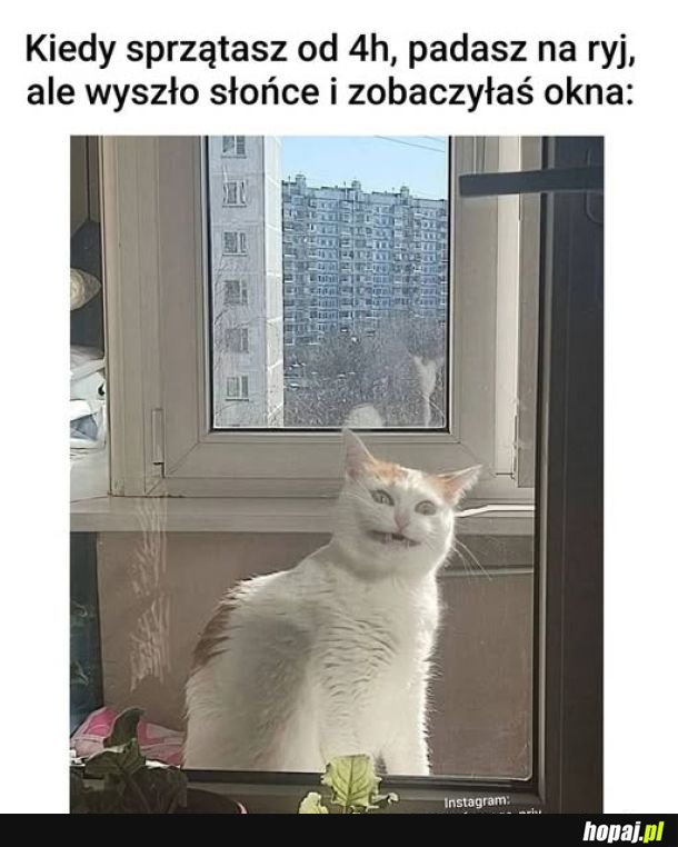 Tak xD
