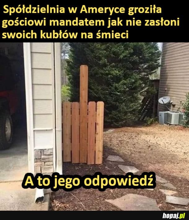Odpowiedź na grożenie mandatem