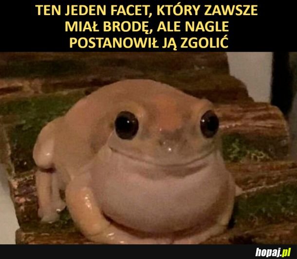 Kiedy facet zgoli brodę