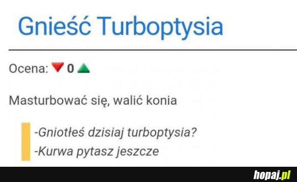 A WY DZISIAJ JUŻ GNIETLIŚCIE