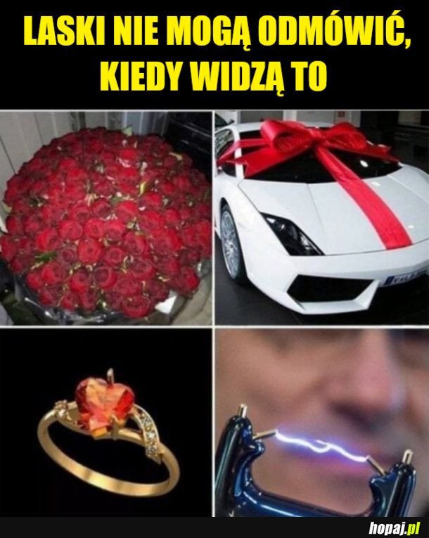 Laski tak mają