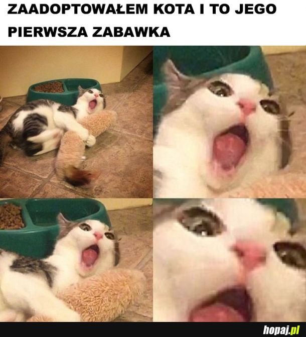 Radość 