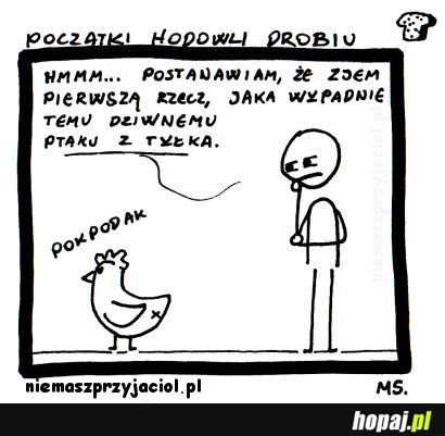 Początki hodowli drobiu