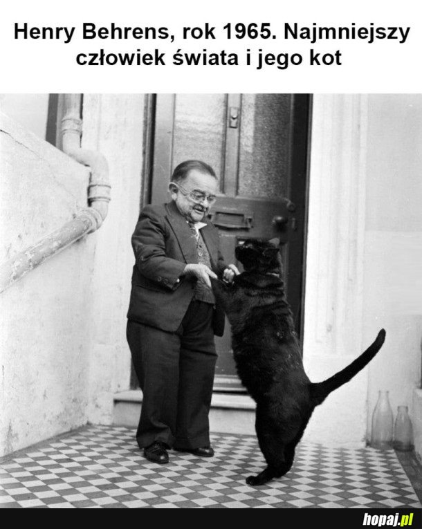 W SUMIE TEN KOT TO WYGLĄDA NA SPOREGO