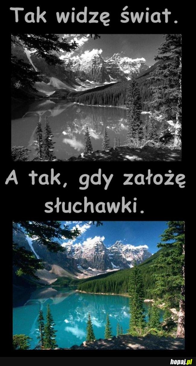 Tak widzę świat