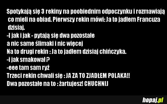 Spotykają się 3 rekiny...