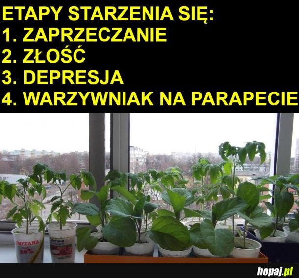 Etapy starzenia się