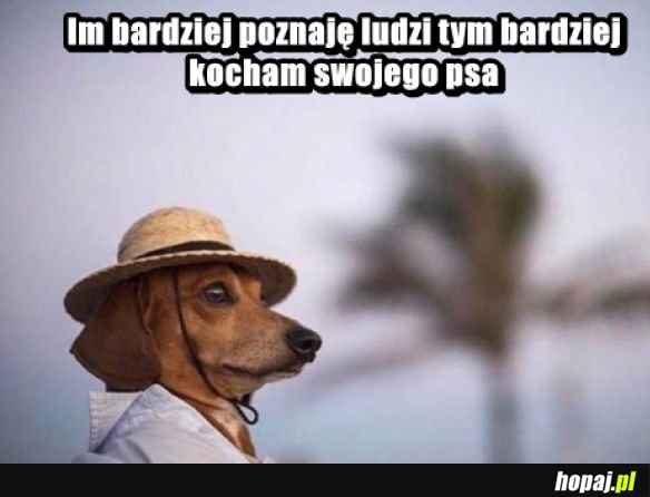 Dokładnie tak