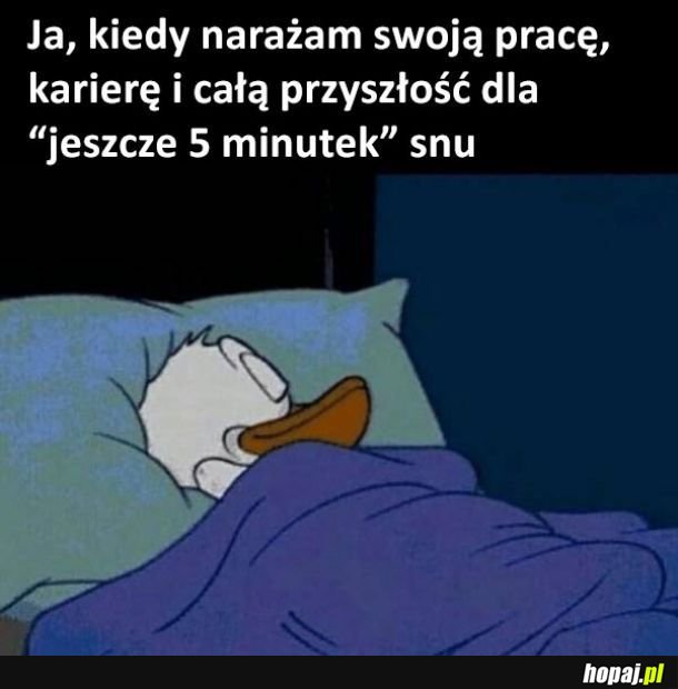 Za każdym razem