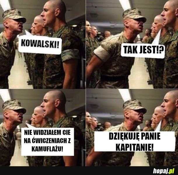 Brawo żołnierzu