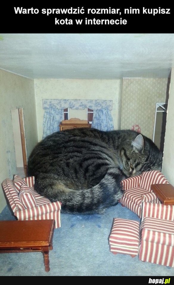WARTO SPRAWDZIĆ