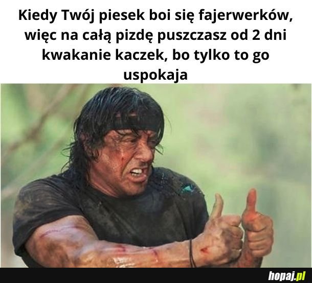 Tak chwilowo wygląda moje życie