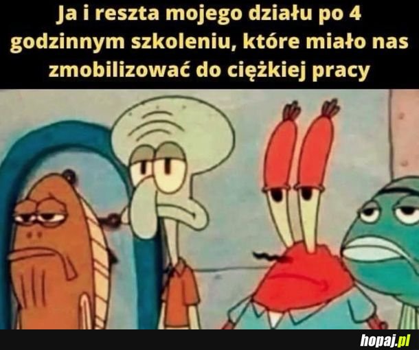 Szkolenie w pracy
