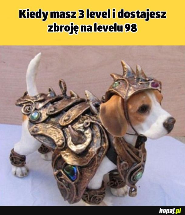 Teraz nic mnie nie zabije