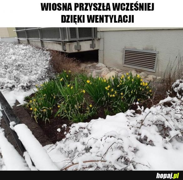 Wczesna wiosna