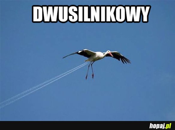 DWUSILNIKOWY BOCIAN