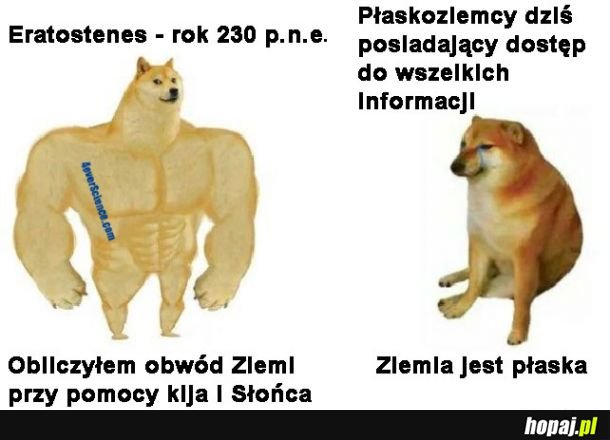 Pocieszni płaskoziemcy