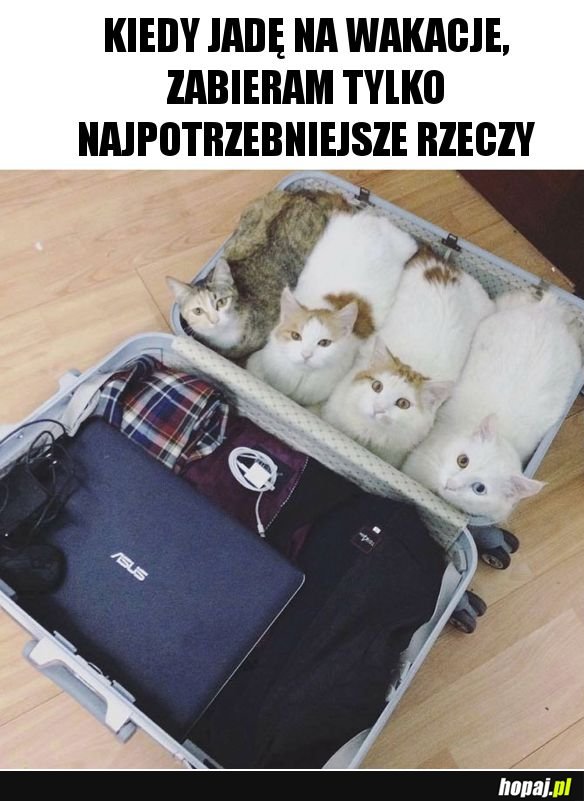 Tylko najpotrzebniejsze rzeczy