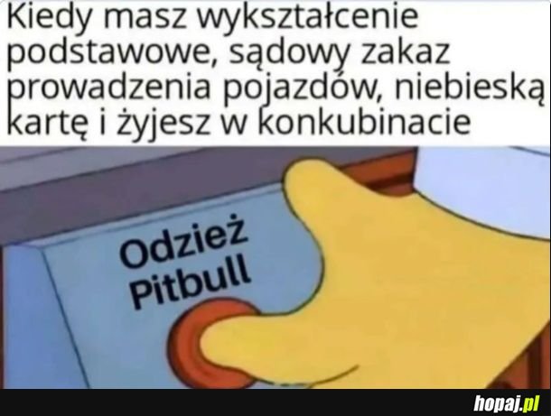 Odzież pitbull