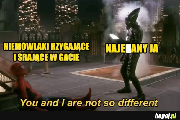 Jesteśmy podobni