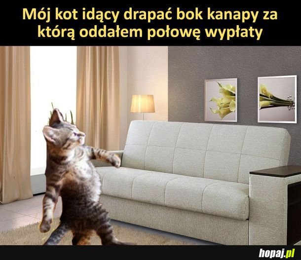 Misja xd