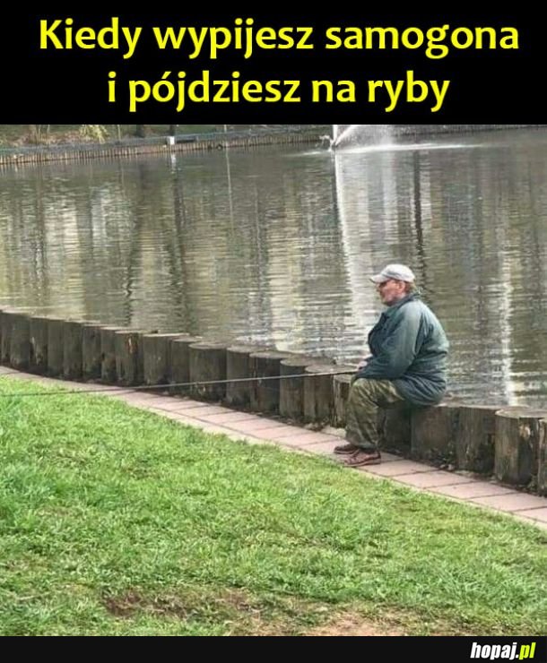 Coś tu nie tak