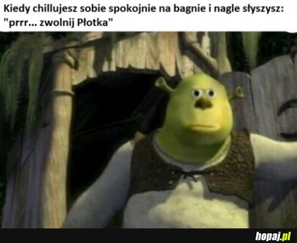 I wiesz że masz przeję...