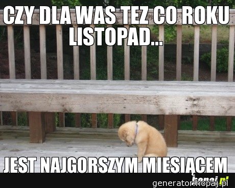 CZY DLA WAS TEZ CO ROKU LISTOPAD...