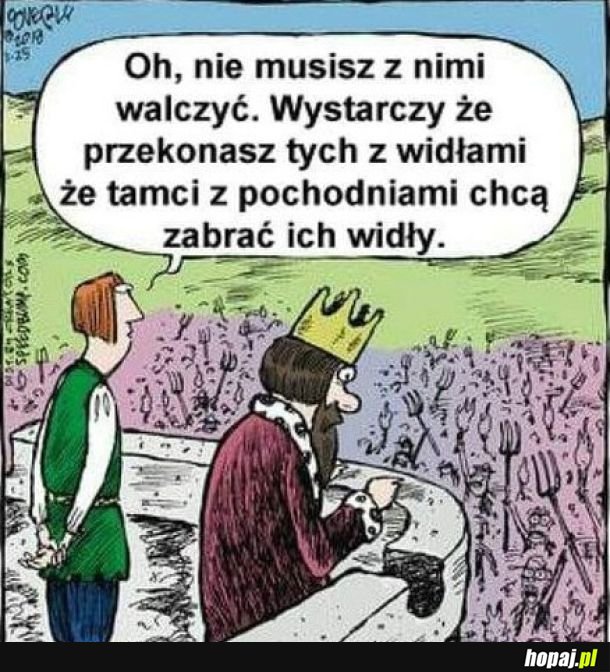 Dziel i rządź