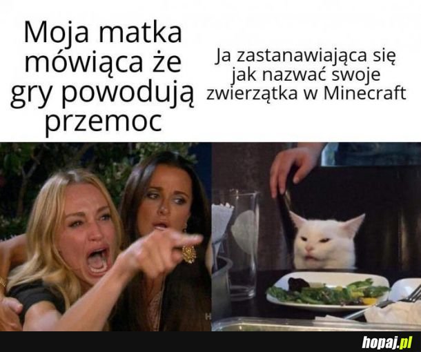  Gry i przemoc