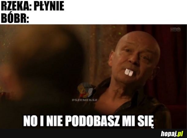 Bóbr