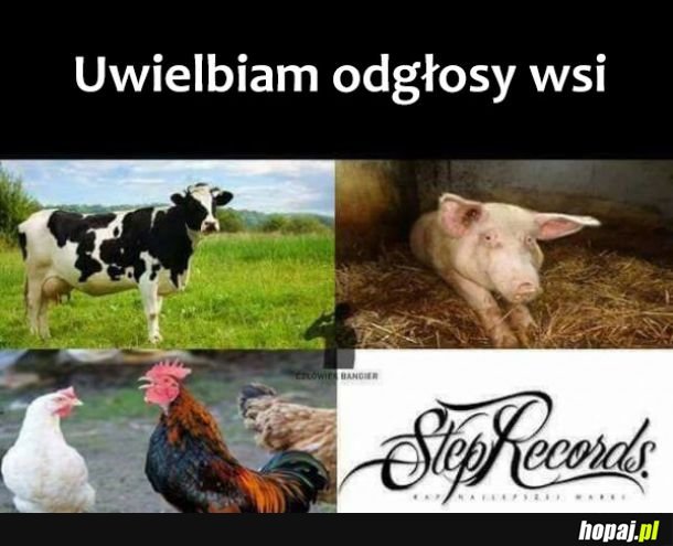  Odgłosy wsi 