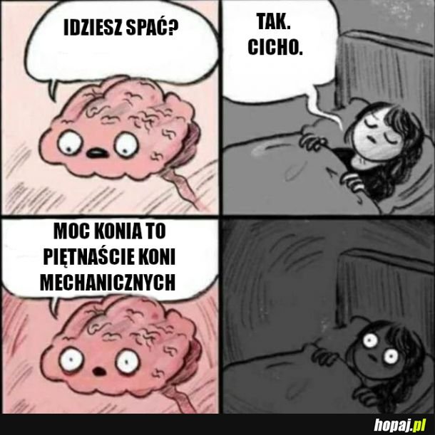 Konie mechaniczne co nie
