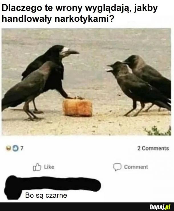 Jest czarny, więc zakładam, że jest zły ...