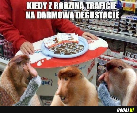 DARMOWA DEGUSTACJA