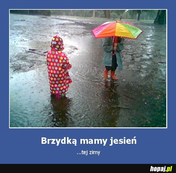 Brzydką mamy jesień tej zimy