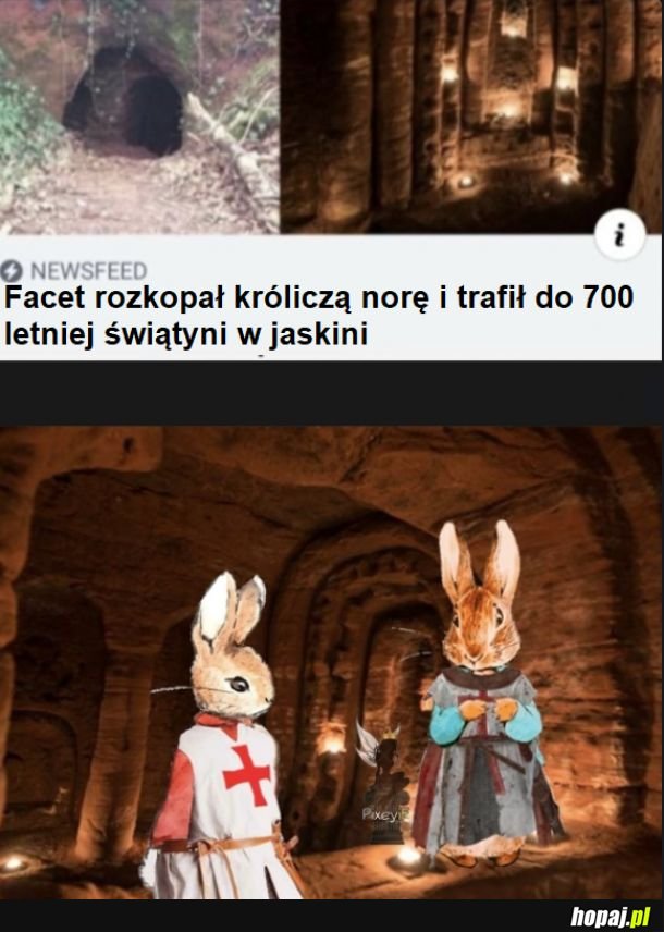 Króliki w jaskini