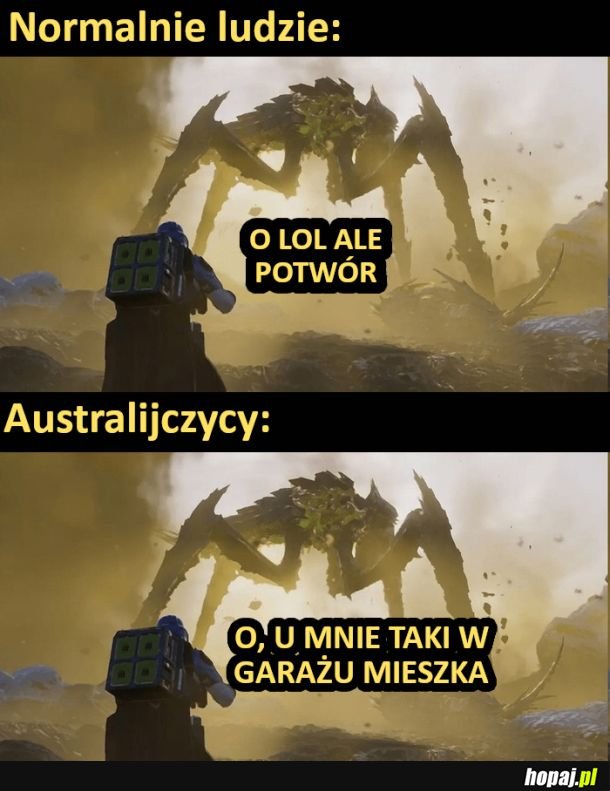 Ale potwór