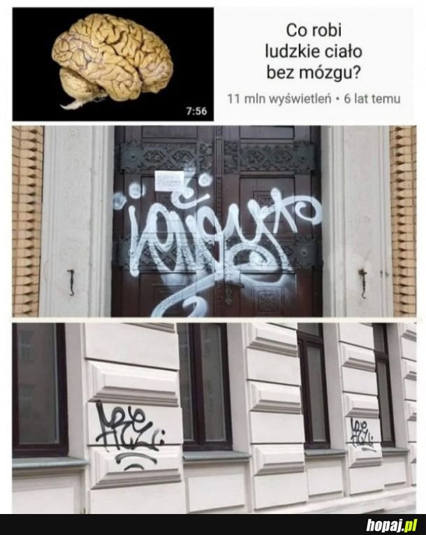 Ciało bez mózgu