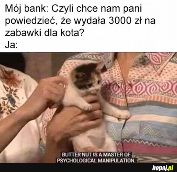 Cóż mogę rzecz