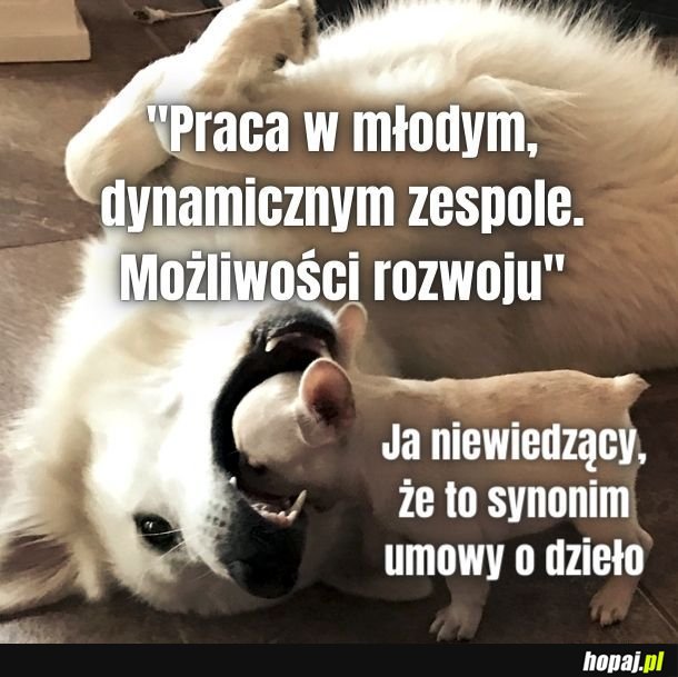 Każdy z nas kiedyś dał się nabrać...