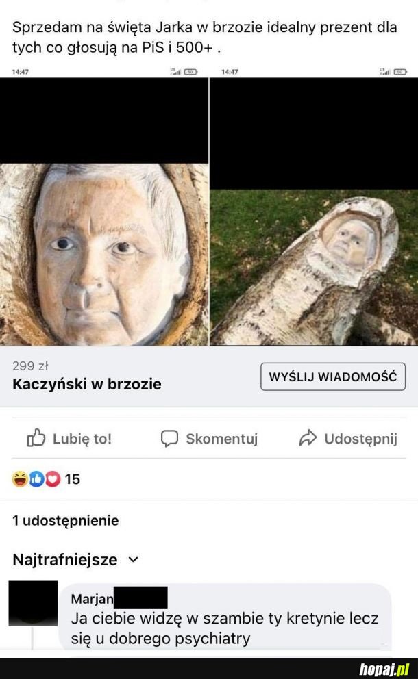 Jarek w brzozie