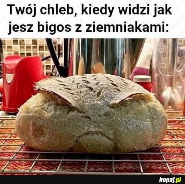 Chleb