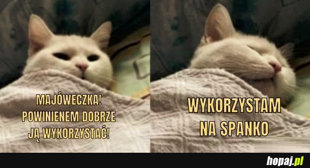 Ja uczynię podobnie