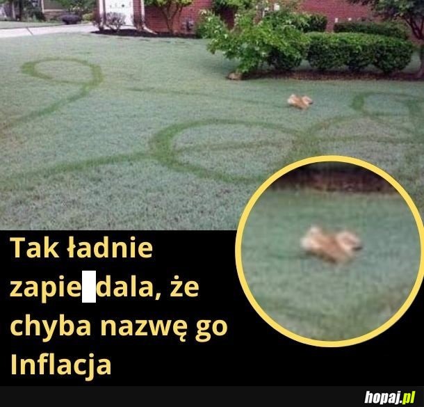 No tak szybko to chyba nie biega