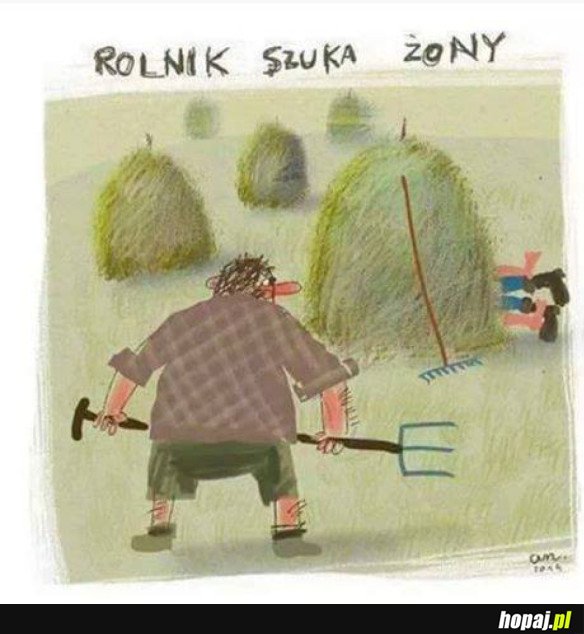 Rolnik szuka żony