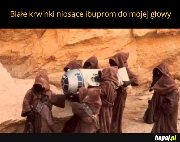 Kiedy to zacznie działać