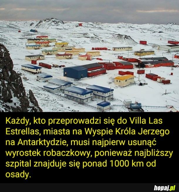 Dziwny wymóg