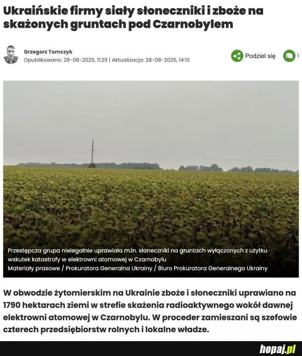 Radioaktywny słonecznik